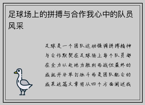 足球场上的拼搏与合作我心中的队员风采