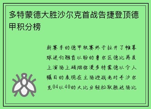 多特蒙德大胜沙尔克首战告捷登顶德甲积分榜